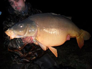 Carpe Cuire 17kg500